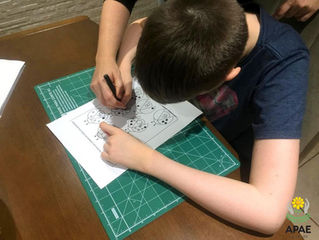 Atividades Domiciliares - Ciclo IIA