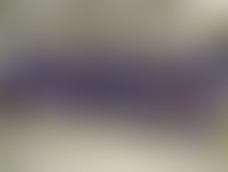 Retorno Profissionais 2020