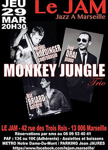 Monkey Jungle Trio