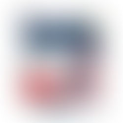30.【GOSEN】MSフォース