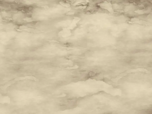 9.webp