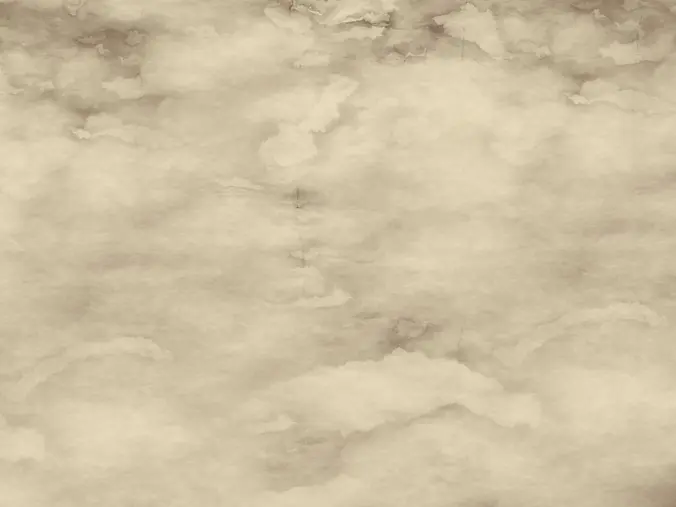 9.webp