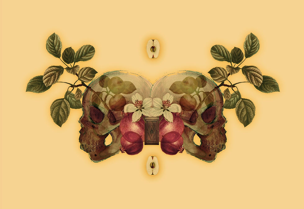 Magick of January: How the month sets the tone for 2021