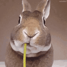 1601913632_415349.gif