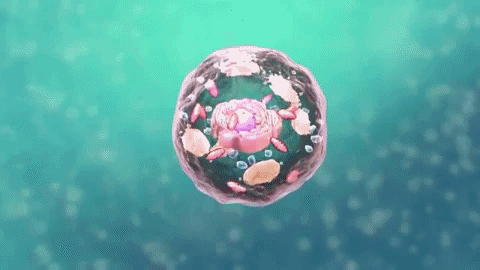 7f9bd3aa24dcc82198825ed7692bd4cd.gif