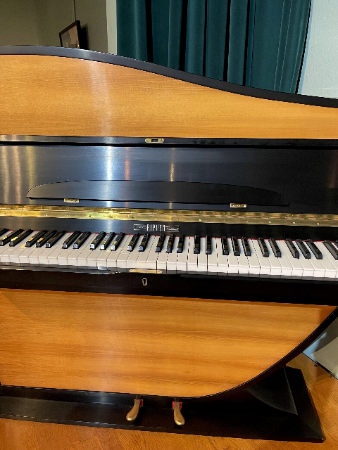 Thumbnail: Rippen Danish Art Case Upright