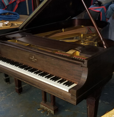ダーツ JOKERDULTIMATE Model B-pe. Steinway 