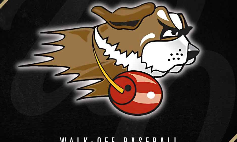 University of St Francis logo for Walk-Off Illinois player committed to playing there
