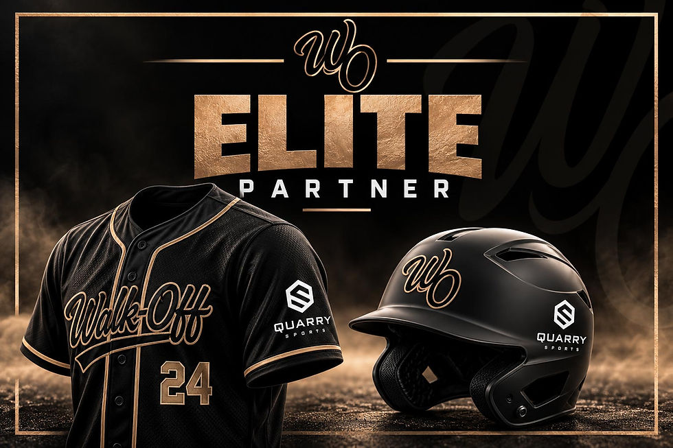 Walk-Off-Elite-Partner-Sports-Poster-travel-baseball-in-chicagoland-area-illinois