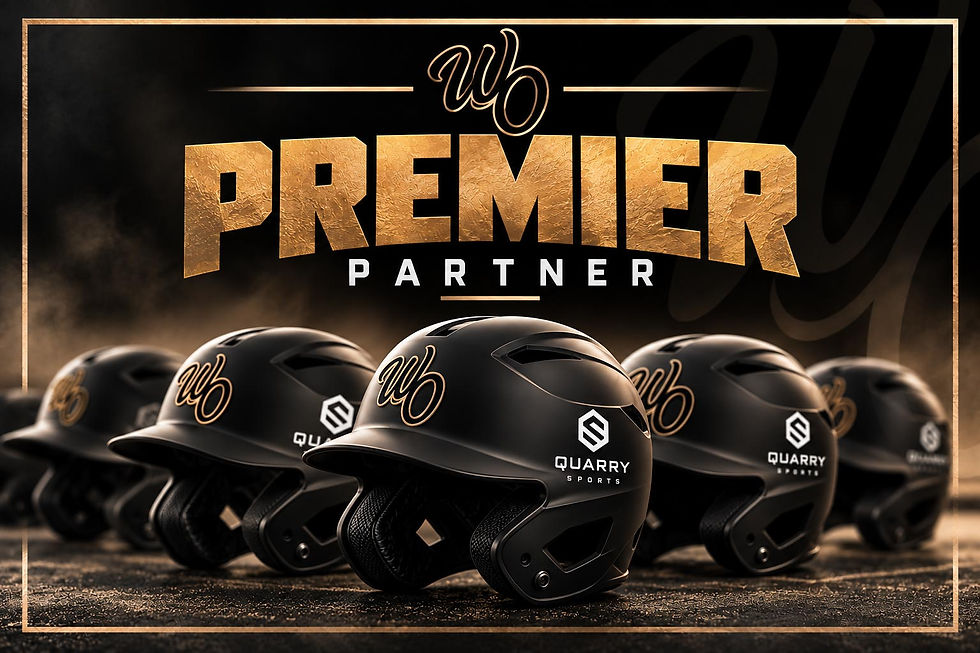 Premier-Partner_-Quarry-Sports-Helmets-best-travel-baseball-team-in-illinois