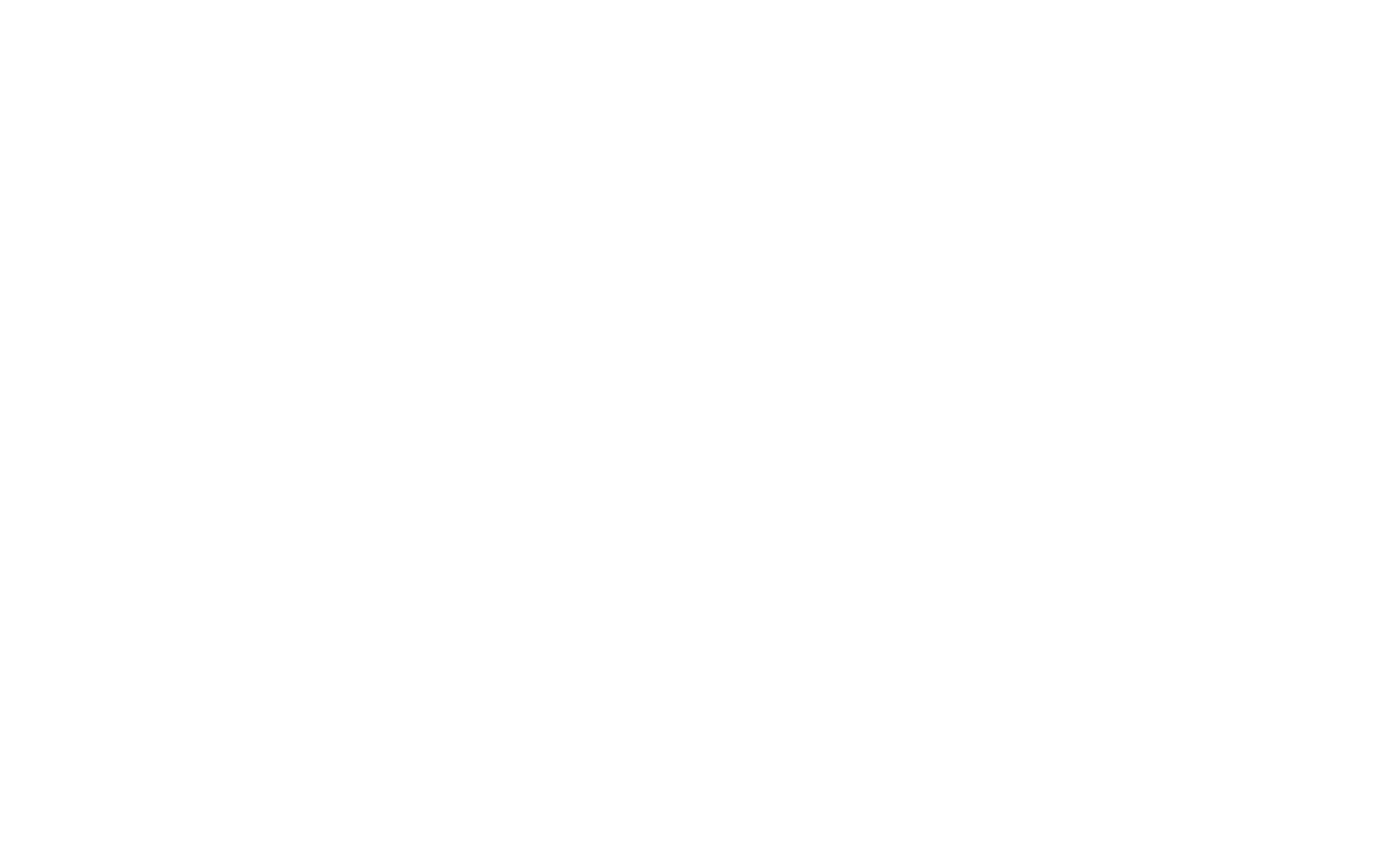 2-White logo - no background.png