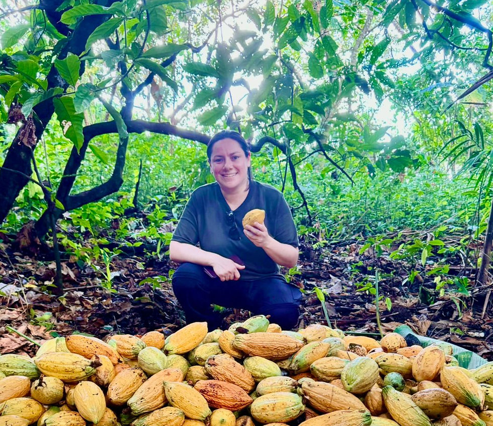 Imagem do WhatsApp de 2025-09-29 à(s) 09.02_edited.jpg