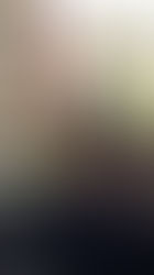 📣 BEKIJK NU DE VIDEO VAN: het Kerststukjesproject van PO en VO van 'Winsum Laat Je Groeien'