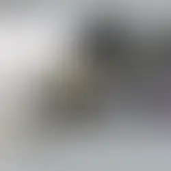 Best men’s casual shoes under 100 dollars with classic RO design