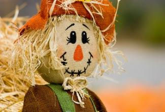 Monterey Ridge Fall Festival