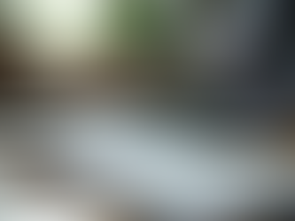 Unlock Your Potential with Career Advisory Services