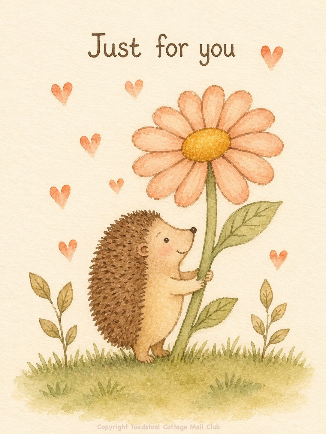Woodland Wishes