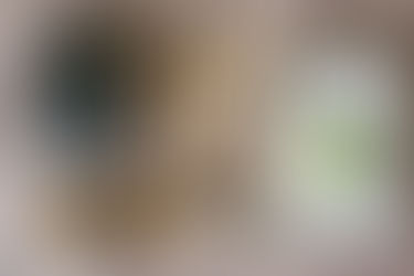 Minimalismo: Como Simplificar Sua Vida e Ganhar Tempo