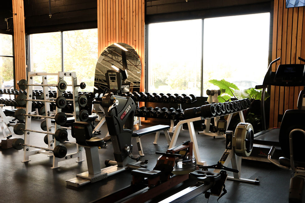 Personal 1:1 Fitness Training
