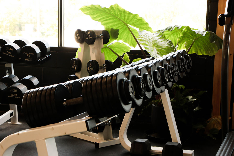 Personal 1:1 Fitness Training