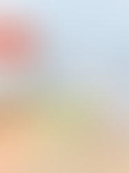 Crisi democratica del Venezuela: ieri e oggi