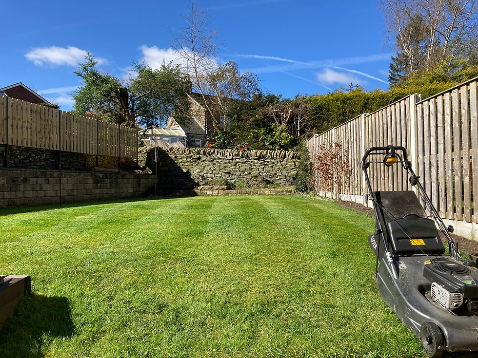 Freshly mown lawn with striped finish