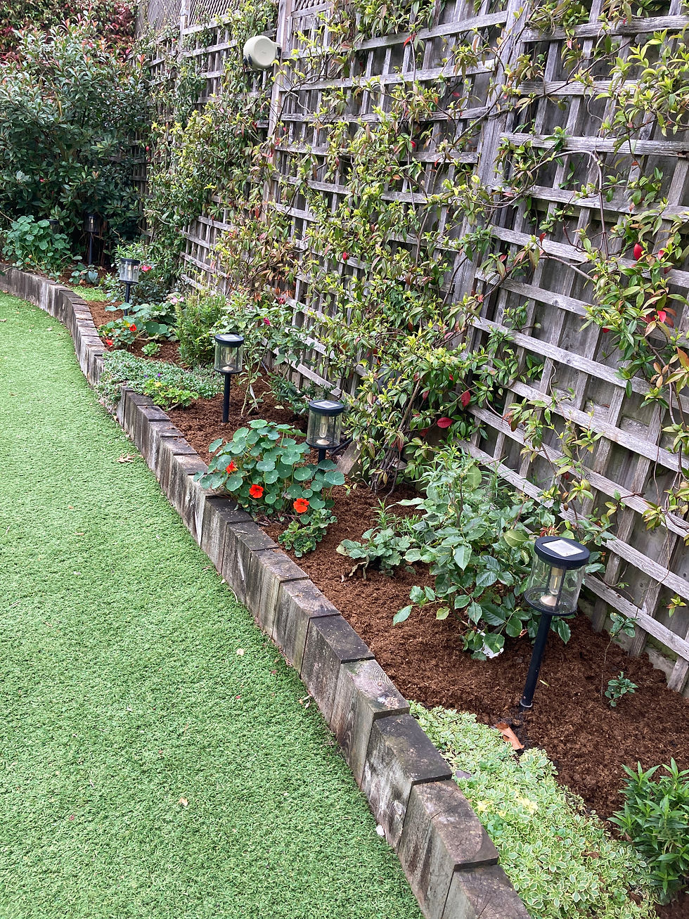 Weeded and mulched perennial border