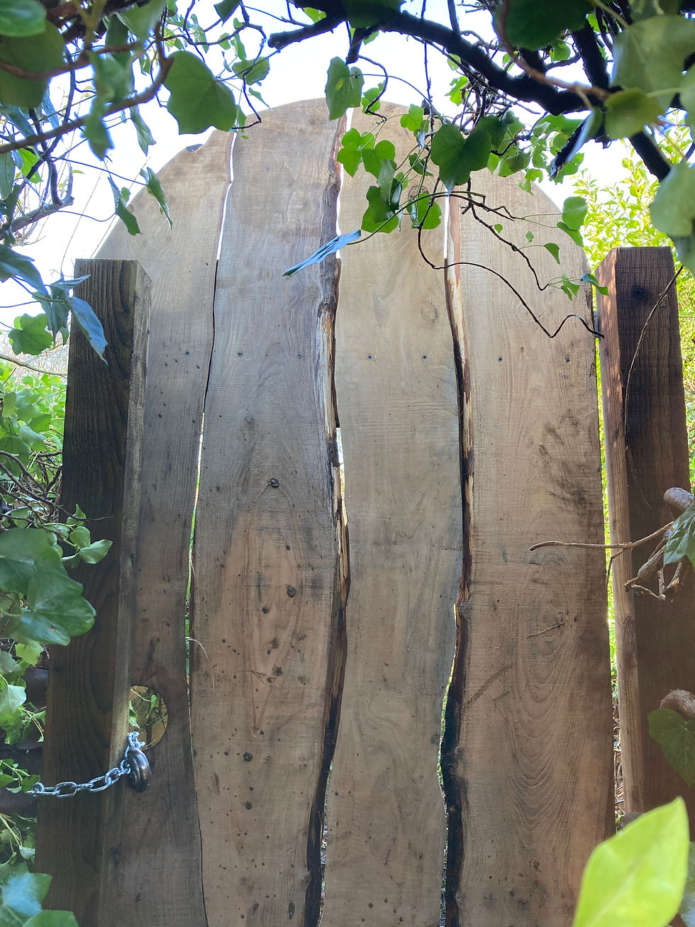 Bespoke chestnut gate for allotment holder