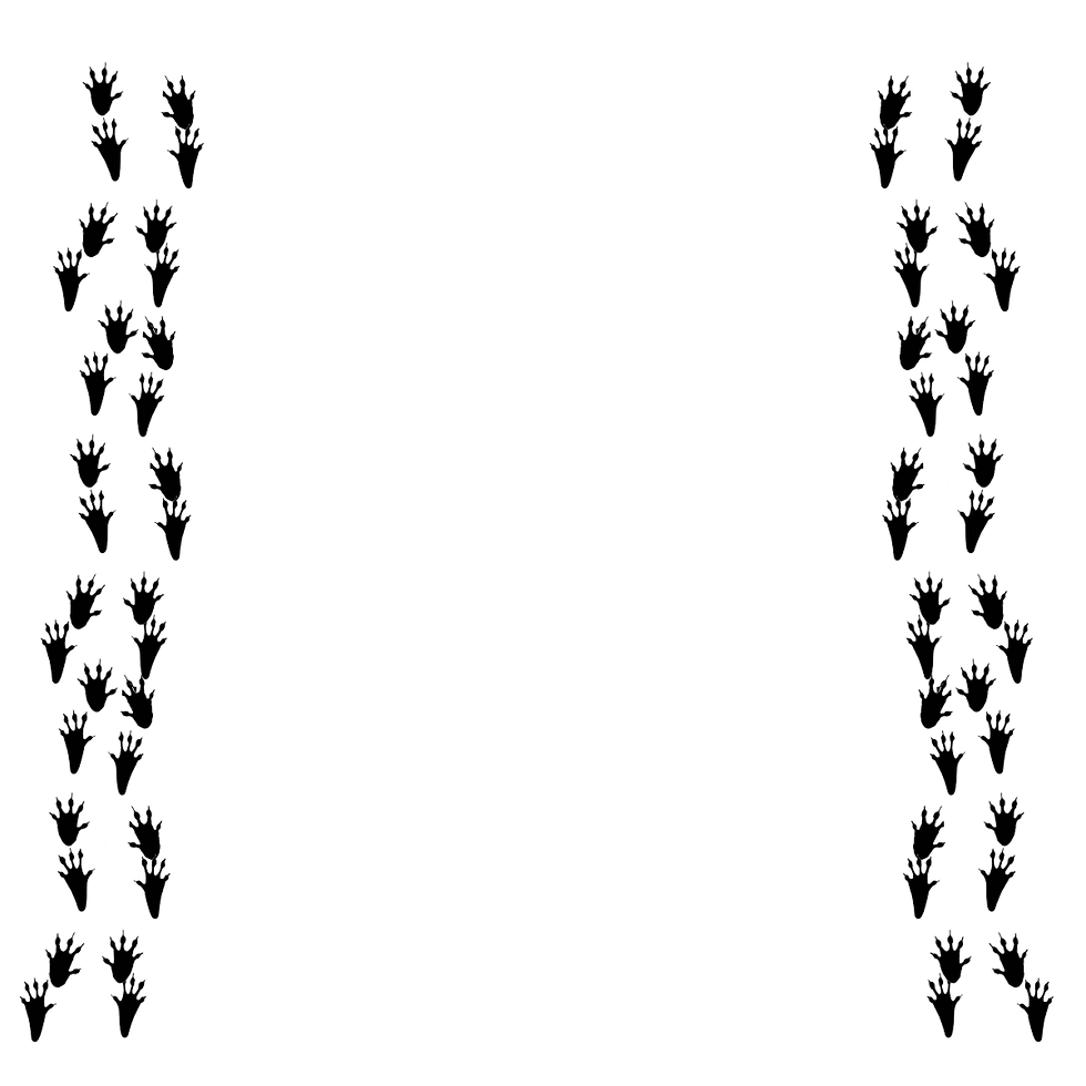 Hedgehog paw prints track[14297].png