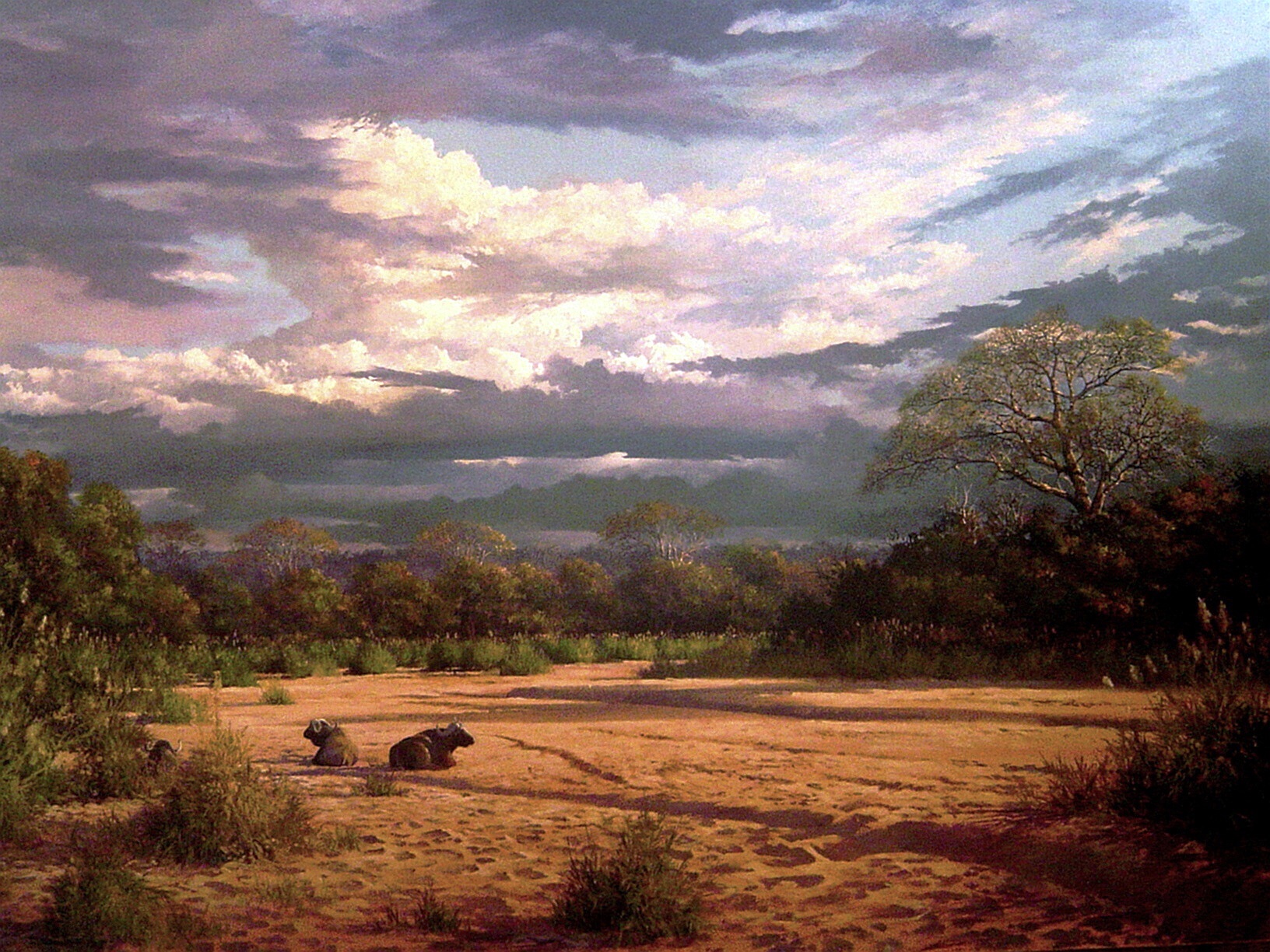 Landscape 1