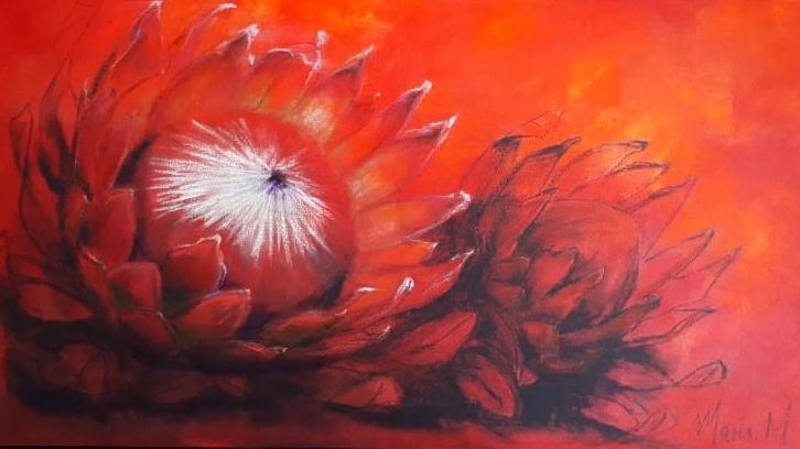 Protea 1
