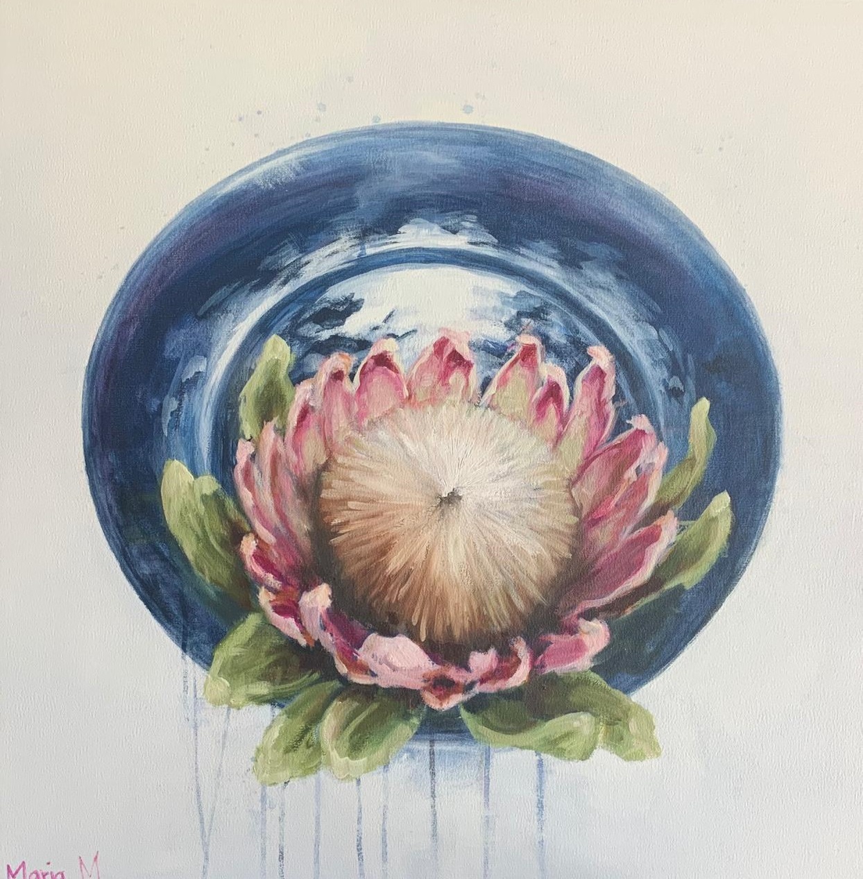 Protea 4