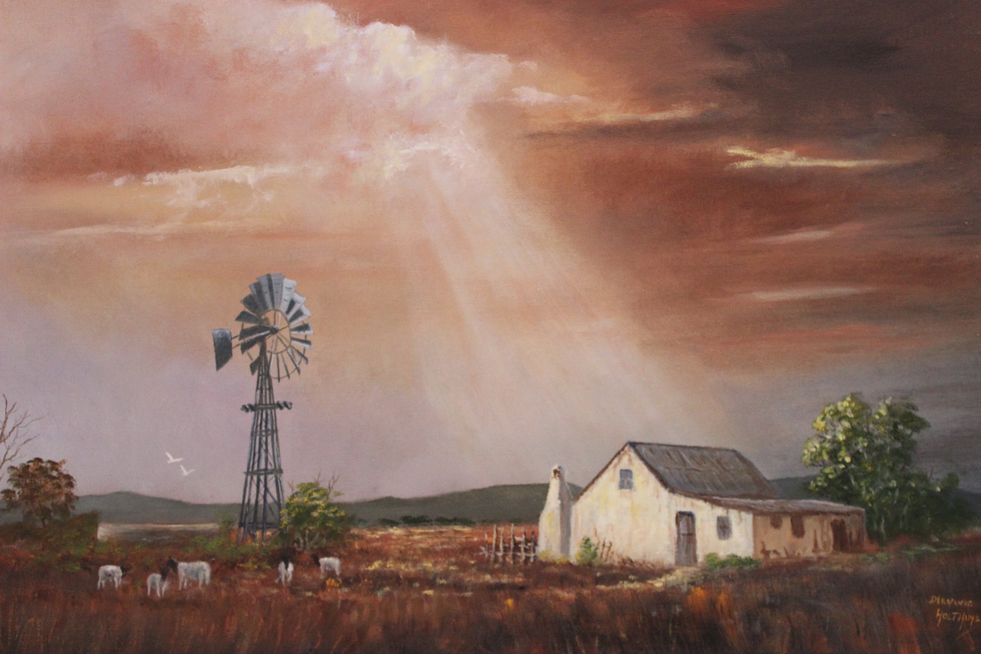 Sunray, Karoo