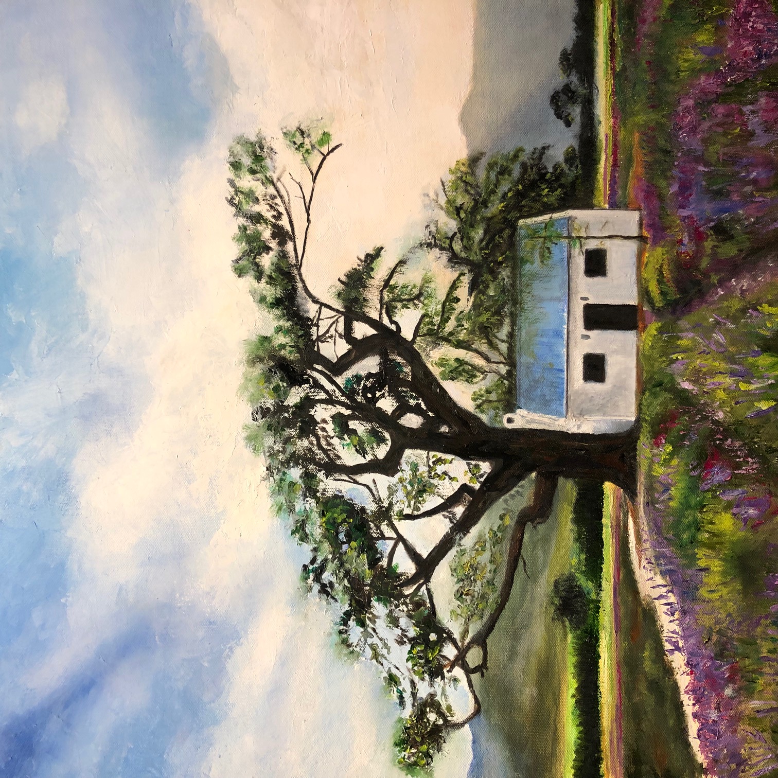 Lavender Farm