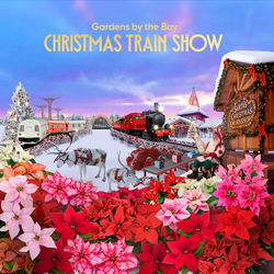Christmas Train Show