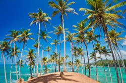 Coconut Hill