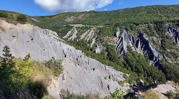 20211009_134840_Bildgröße ändern.jpg