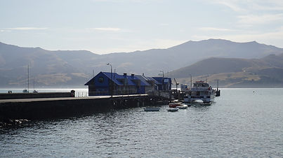 DSC00457_Bildgröße ändern.JPG