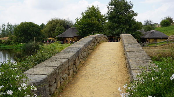 DSC02206.JPG