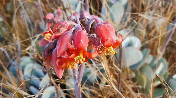 20200121_191119_2_Bildgröße ändern.jpg