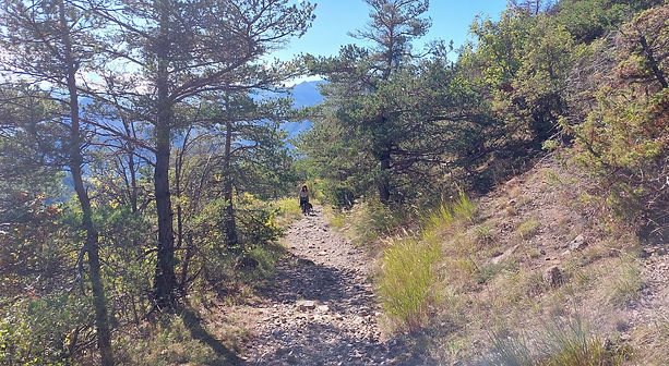 20211009_132935_Bildgröße ändern.jpg