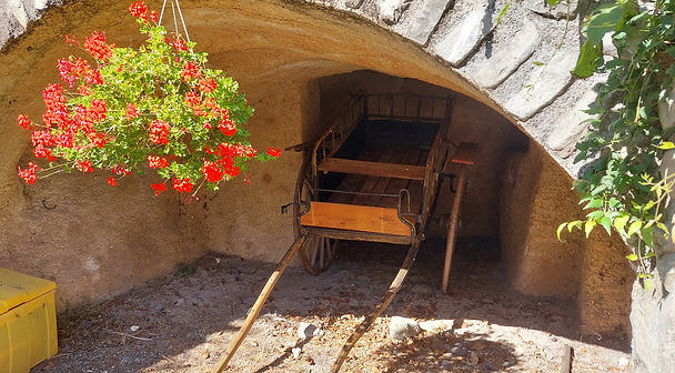 20211009_123734_Bildgröße ändern.jpg