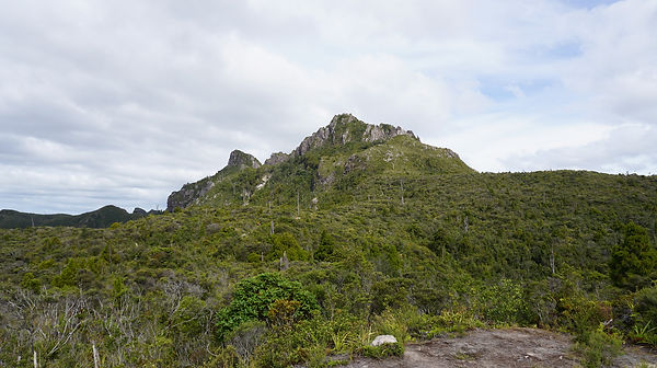 DSC02330.JPG