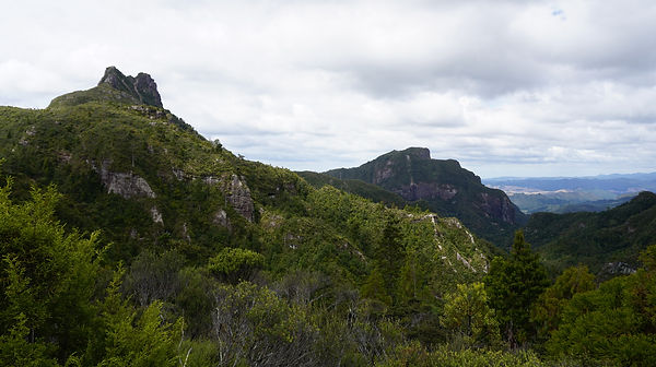 DSC02263.JPG