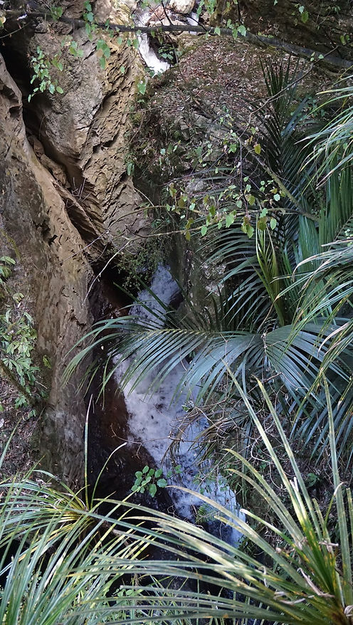 DSC02124.JPG