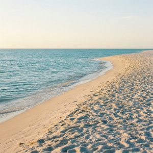 South Florida Beach Vibes