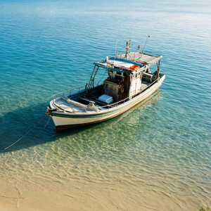 Guided Charter Experiences