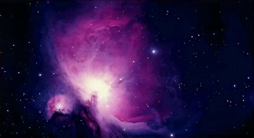 cosmos%20violet_edited.jpg