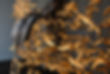 EMR_7752.jpg