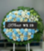 WX 19